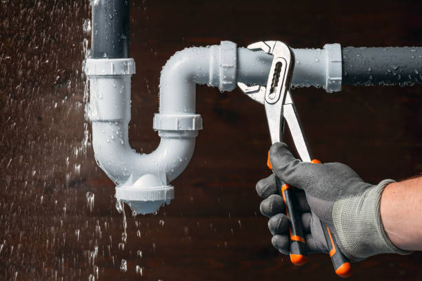 Professional Plumbing technician working in Lesage, WV
